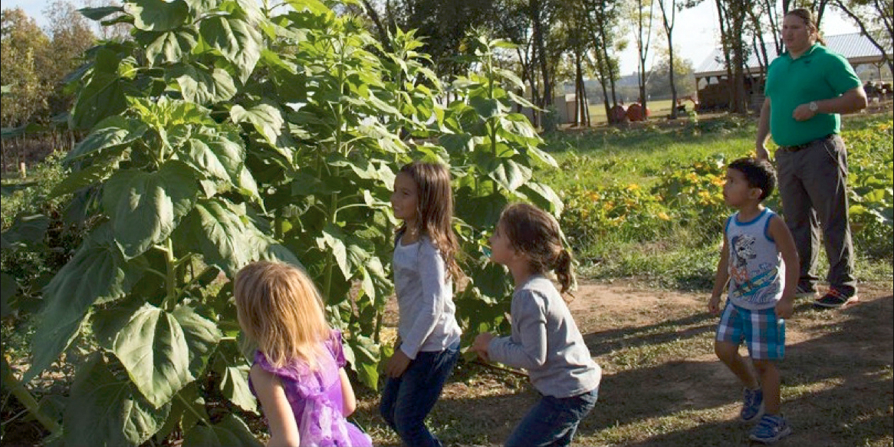 A watchful Osage adult looks on from the background as 3 young girls dash excitedly toward tall plants in a sunny garden and a curious boy steps forward