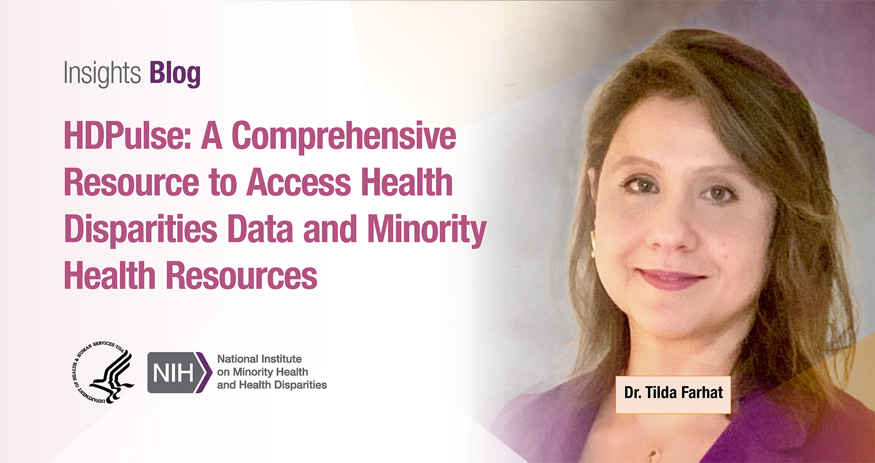 HDPulse: A comprehensive resource to access health disparities data and minority health resources