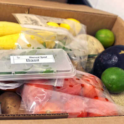 Bagged and loose fresh produce, blueberries, rosemary, basil, carrots, zucchini, tomatoes and more in an open cardboard box