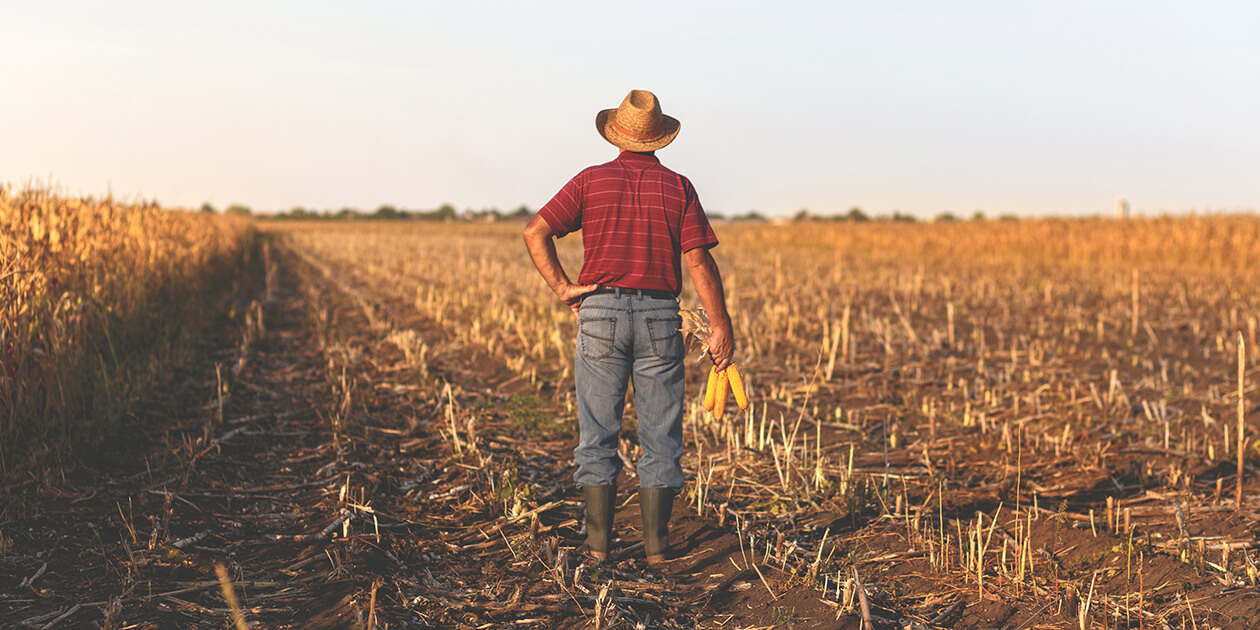 Photo of a man in a harvested corn field representing the study group of this research.
